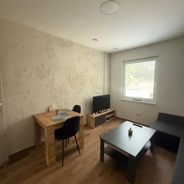 Apartmán NIKA Choceň，位于Choceň的酒店