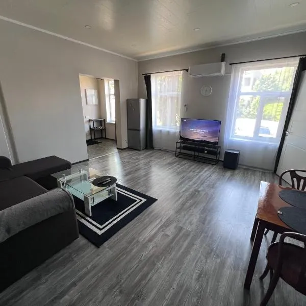 City Center Apartment，位于瓦尔加的酒店