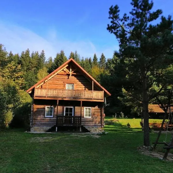 Яглина，位于Sprynya的酒店