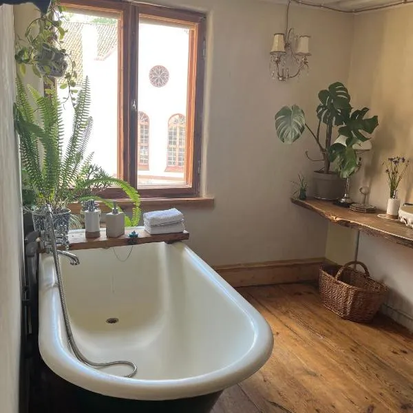 Kurte，位于塔尔西的酒店