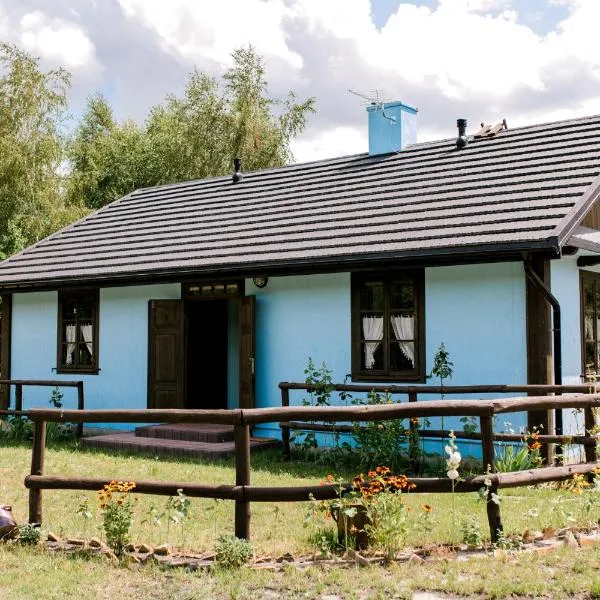 Starodawna Chata - Dziad，位于扎莫希奇的酒店