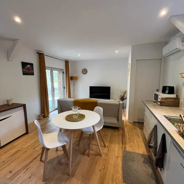 Hébergement GÎTE Domaine de Pinsol，位于Campet-et-Lamolère的酒店