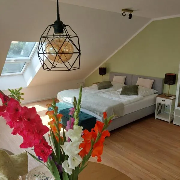 Apartment Senfnest，位于Ober-Ramstadt的酒店
