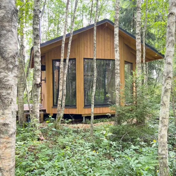 Paunküla Nature Villa，位于Silmsi的酒店