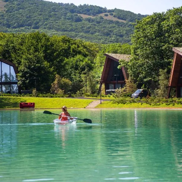 Bioli Wellness Resort，位于Kojori的酒店