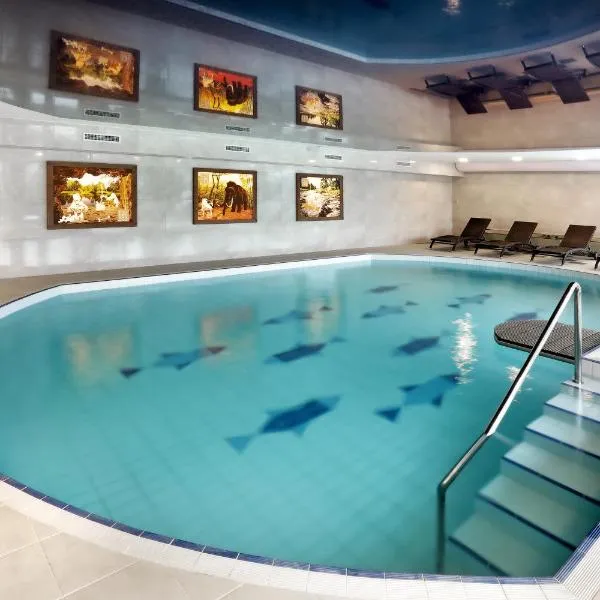 Wellness Hotel Svachovka，位于捷克克鲁姆洛夫的酒店