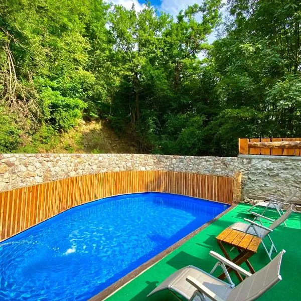 Relax Apartment Private pool，位于萨拉热窝的酒店