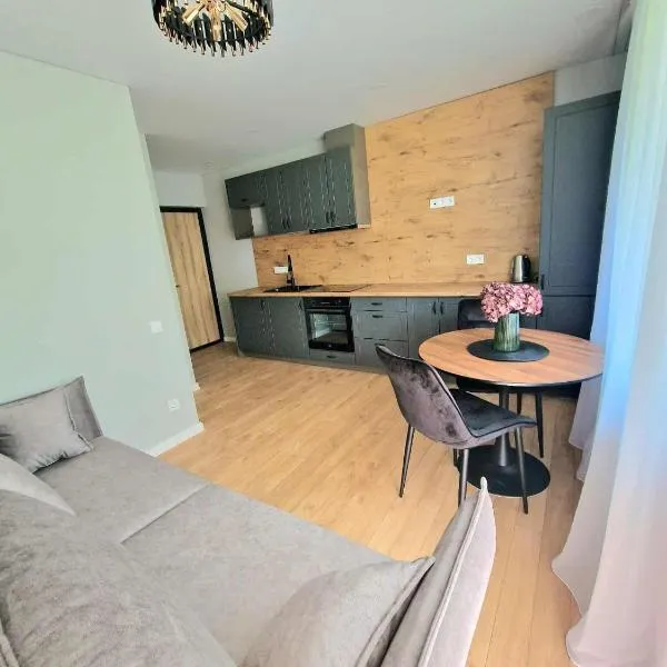 Trumpalaikė buto nuoma Plungėje STUDIJA B，位于普伦盖的酒店