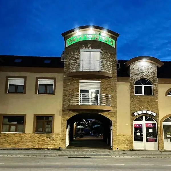 Hotel Pálma，位于尼尔巴托尔的酒店