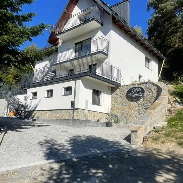 Willa Nathalie，位于克雷尼察的酒店