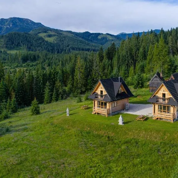 Niedźwiedź nad Chochołowską，位于维托韦的酒店