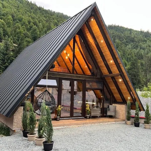 A-frame Cernat，位于阿尔巴克的酒店