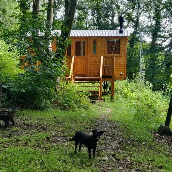 Peggy's Cabin in the Woods，位于Mytholm的酒店