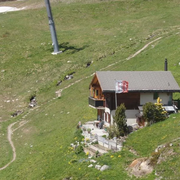 Fluehüsli，位于Wiler的酒店