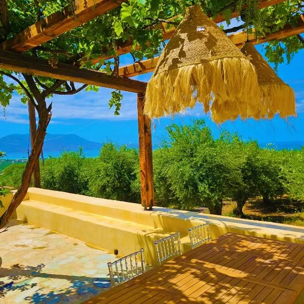 BROWN ON GREEN a stone house with amazing view，位于Drapaniás的酒店