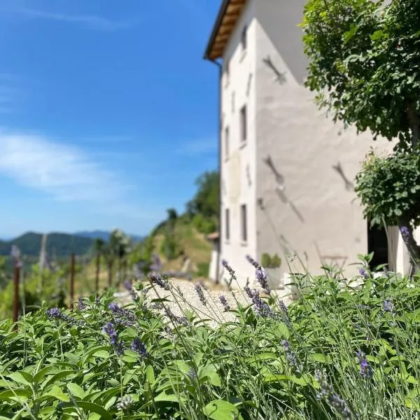 Casa Colli Impervi，位于Combai的酒店