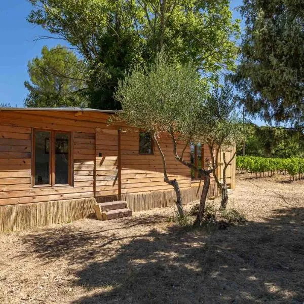 cabane des vignes，位于科蒂尼亚克的酒店