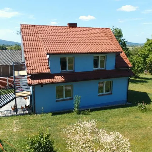 Dom Malinowy Stok，位于Skoszyn Nowy的酒店