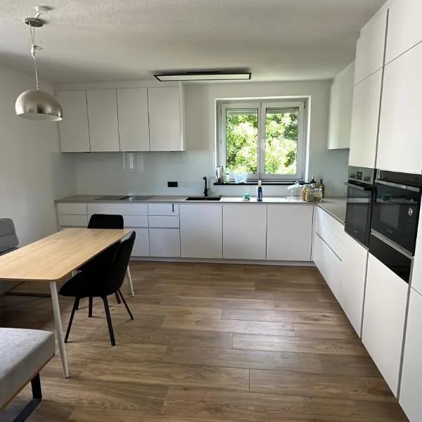 SeeZeit Friedrichshafen，位于腓特烈港的酒店