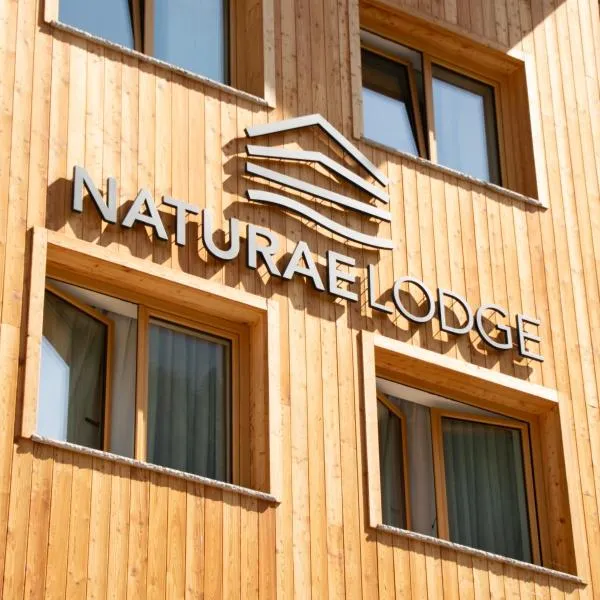 Naturae Lodge Wellness & Spa，位于阿莱盖的酒店
