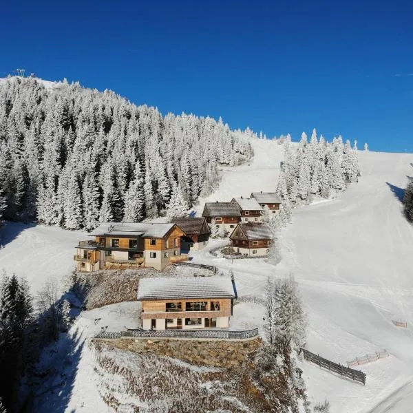 MoselebauerAlm，位于克利浦托尔的酒店