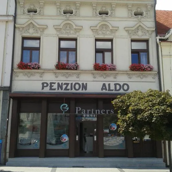 Penzion Aldo，位于Petrovice u Karviné的酒店