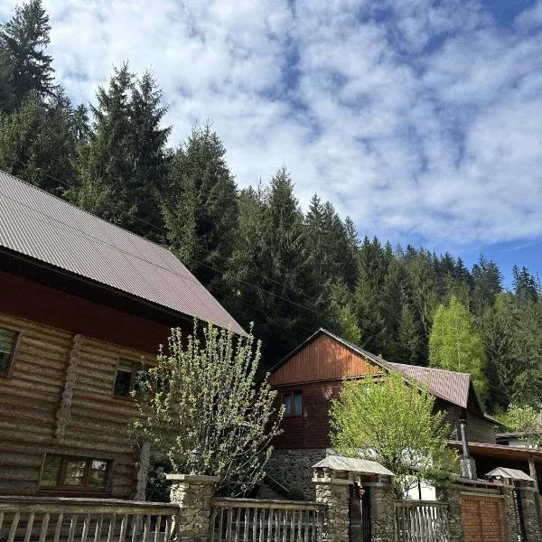 Лісова Хатина-ЧАН，位于Soymy的酒店