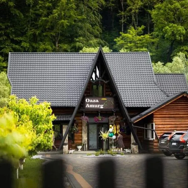 Cabana OAZA AMURG，位于Runcu的酒店