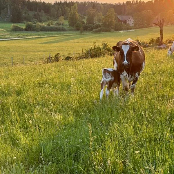 Resta farm bondgårdshotell，位于Örsundsbro的酒店