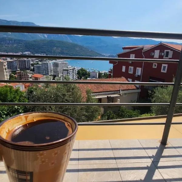 Apartman braco，位于布德瓦的酒店