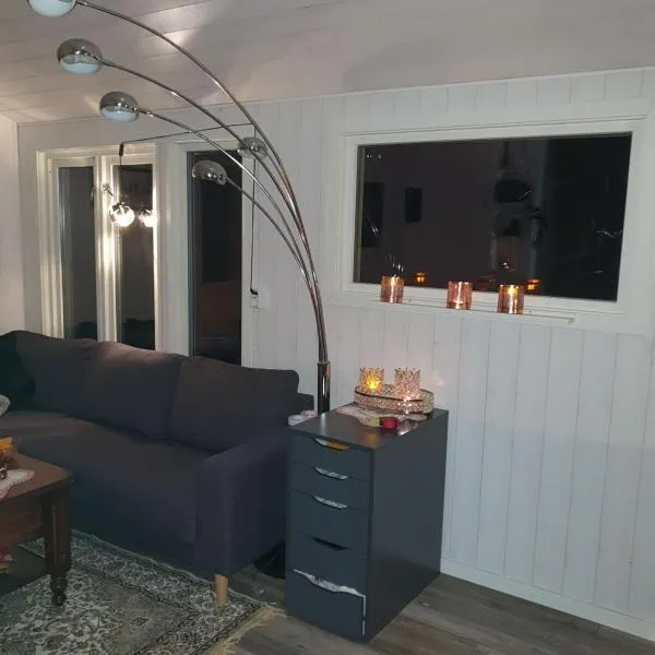 cozy cabin without water at lapphaungen，位于滕内沃尔的酒店