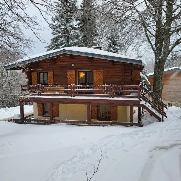 Chalet de montagne familial，位于Montferrier的酒店