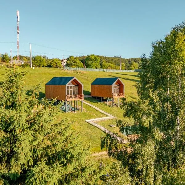 Suspended Tiny House，位于Drumu Carului的酒店