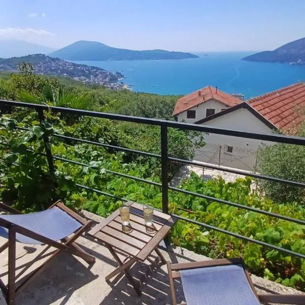 Apartman Moj Mir，位于伊加洛的酒店