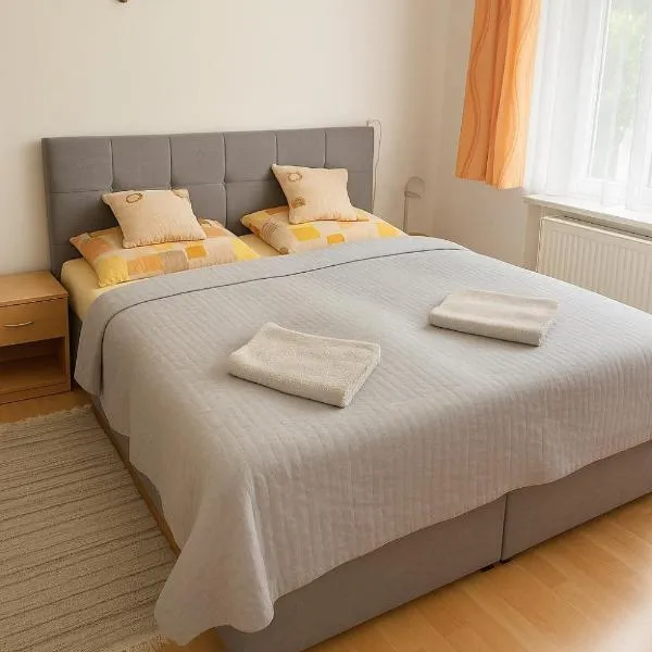 Vila u Šebestů - apartmány Volary，位于沃拉里的酒店
