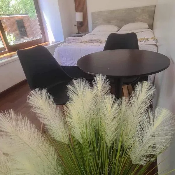 Alojamiento Borde Río habitación，位于康塞普西翁的酒店