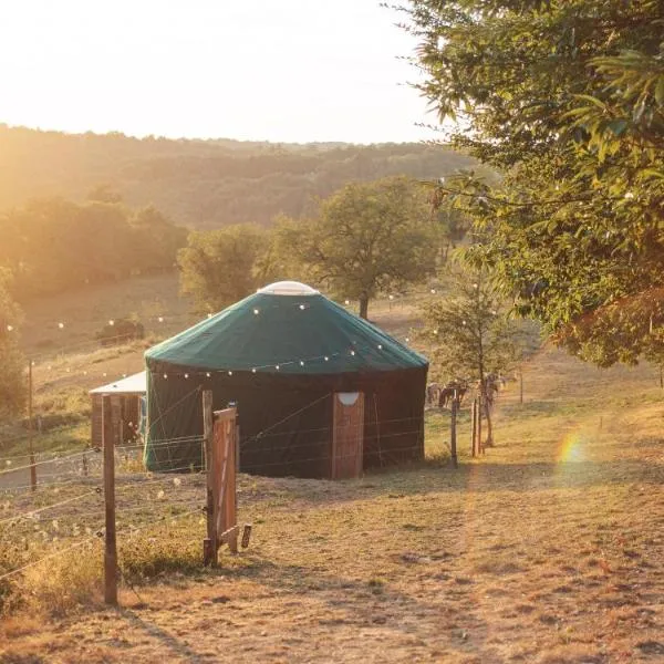 Yourte au coeur des chevaux，位于Saint-Mesmin的酒店