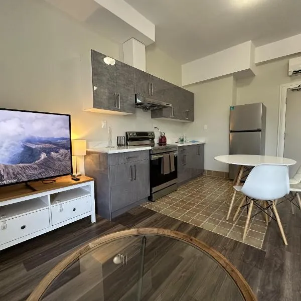 Furnished Simcoe Lofts，位于奥沙瓦的酒店