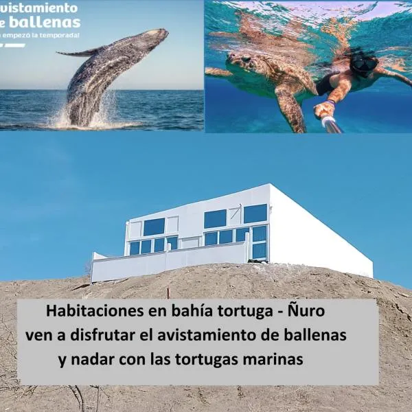 Habitaciones Bahia de las Tortugas Ñuro，位于El Ñuro的酒店