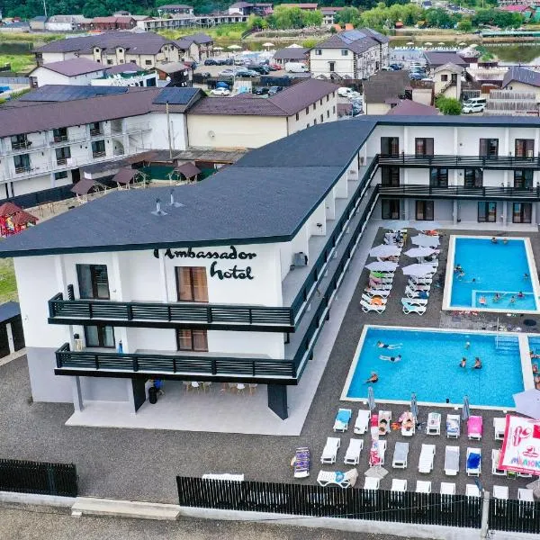 AMBASSADOR，位于索洛特维诺的酒店