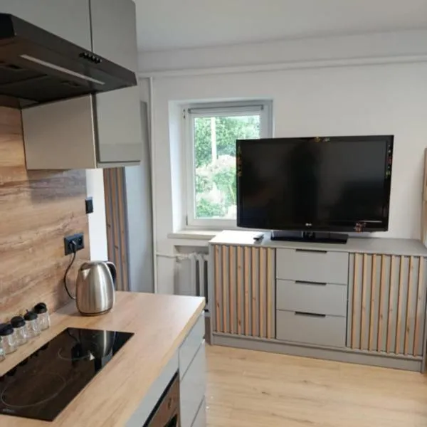 Apartament Centrum，位于Wilkanów的酒店