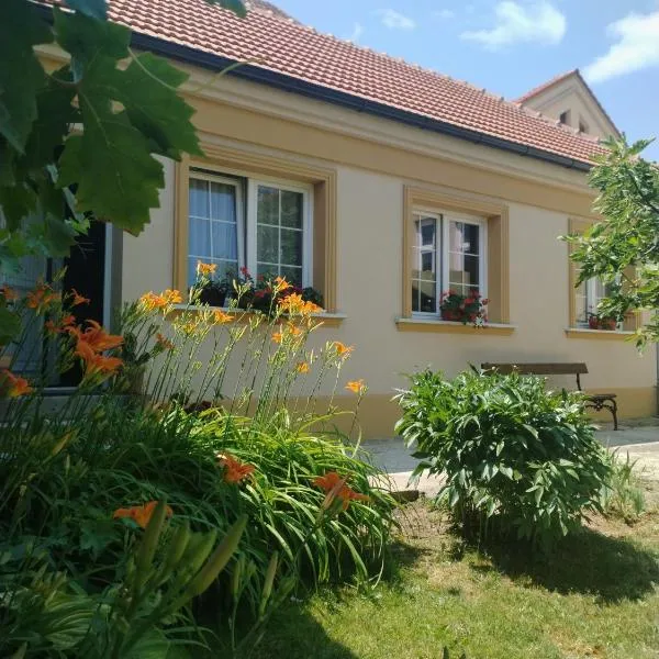 Kuća Petrovića，位于Aleksandrovac的酒店