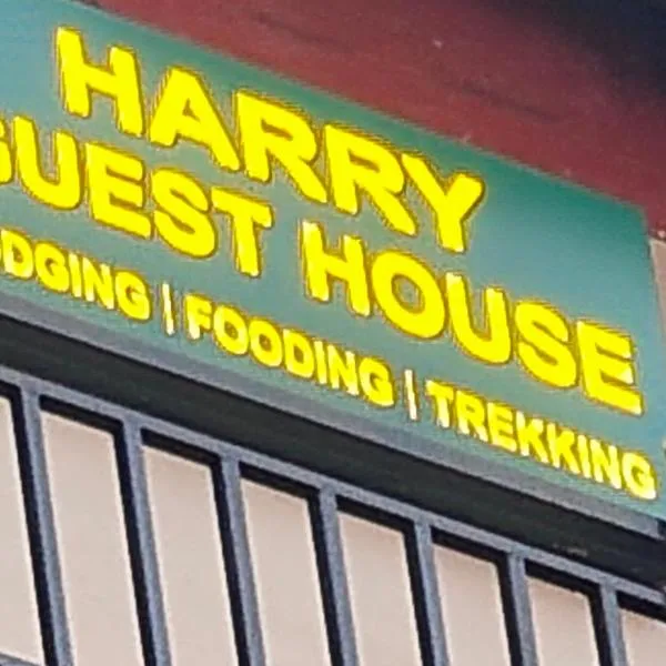 Harry Guest House & Restaurant，位于博卡拉的酒店