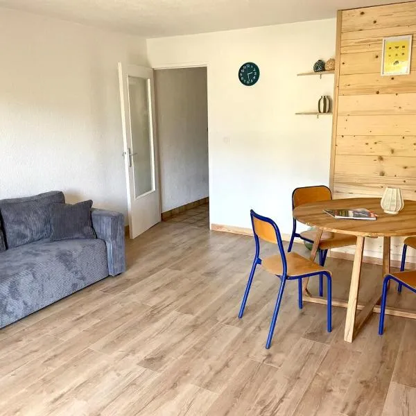 Appartement 2 pièces centre ville，位于布里昂松的酒店