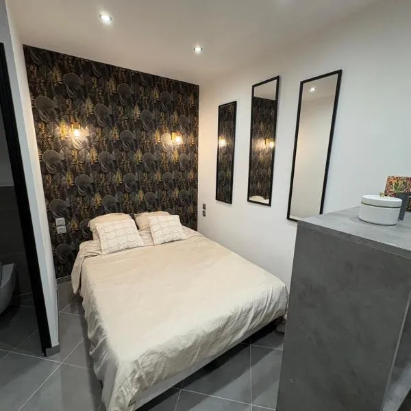 Spa, chill & centre-ville，位于维希的酒店