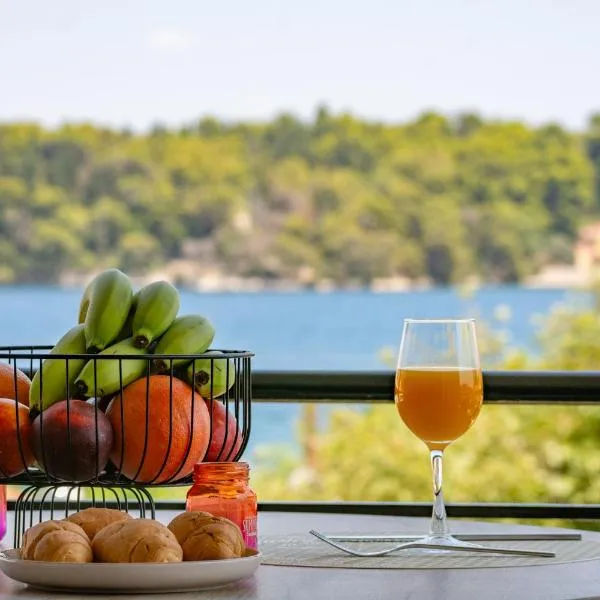 Amara Sea View Luxury Leaving Lefkada，位于奈德里的酒店