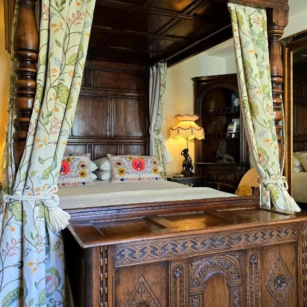The Firecat Country House Guesthouse，位于Mallwyd的酒店