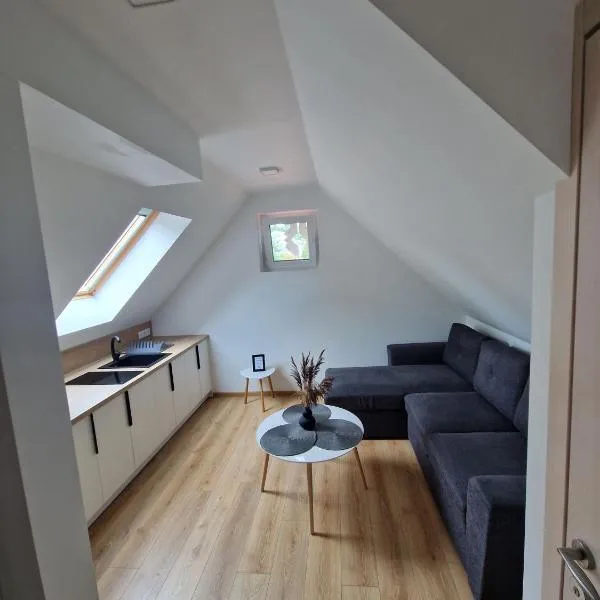 Apartamentai Smilga，位于奈达的酒店