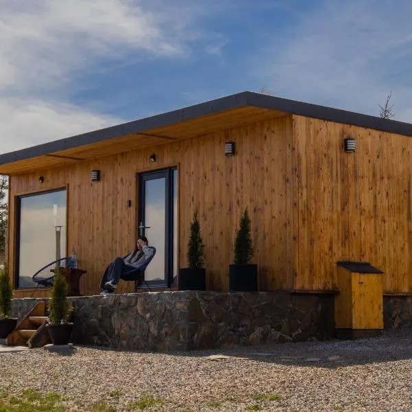 Cozy Cube - tiny house，位于Şaru Dornei的酒店