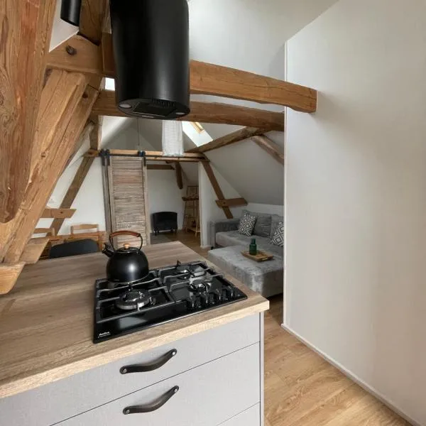 Apartament 2 Wiosła，位于Przełazy的酒店